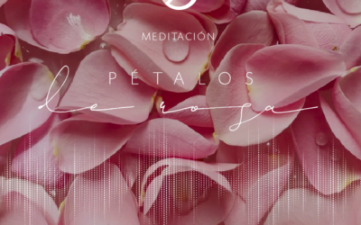 Pétalos de Rosa